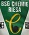 Chemie Riesa